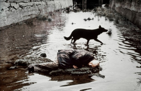 Los filmes de Andrei Tarkovsky liberados
